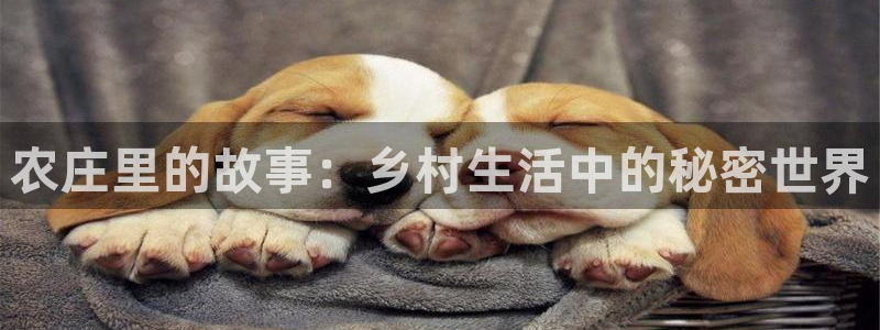 PG电子ly七九典cn