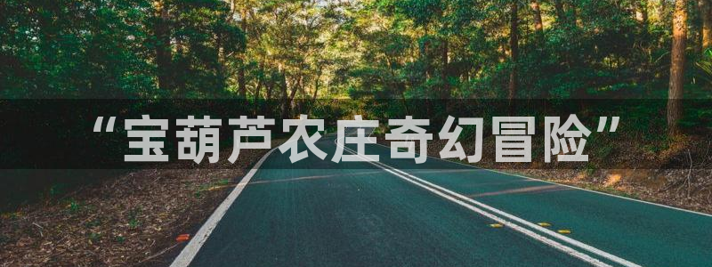 pg电子寻宝黄金城