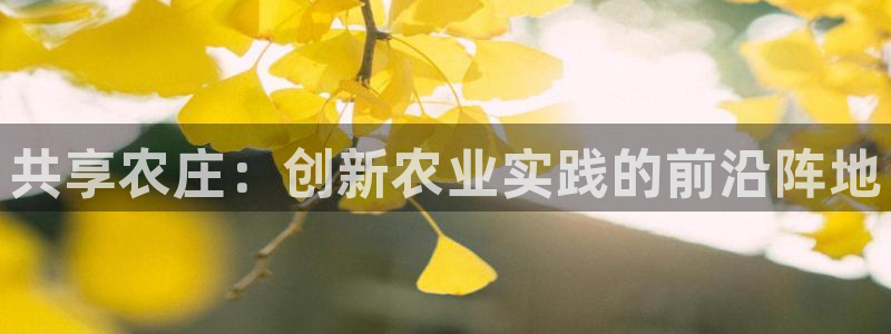 pg电子游戏可以按吗