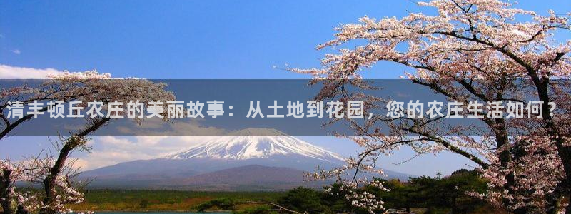 pg电子十倍金牛技巧