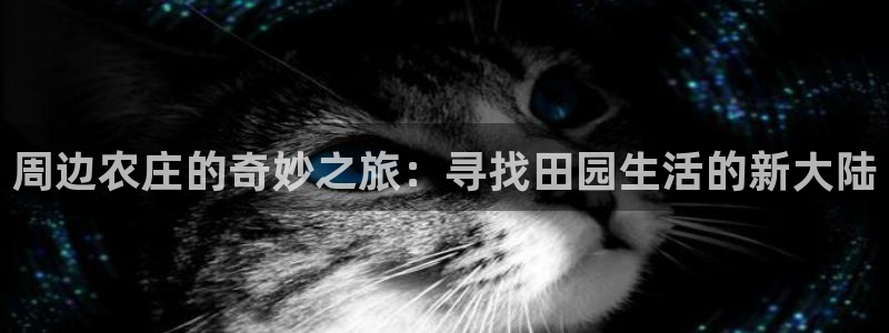 pg电子各大网站