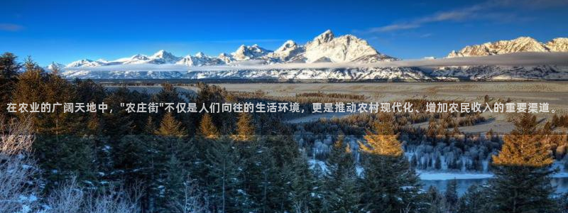 PG电子游戏外国