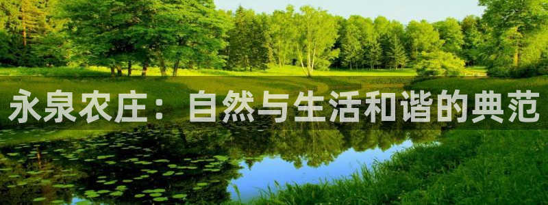 pg电子怎么爆分