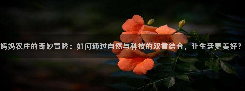 pg电子双喜临门大奖