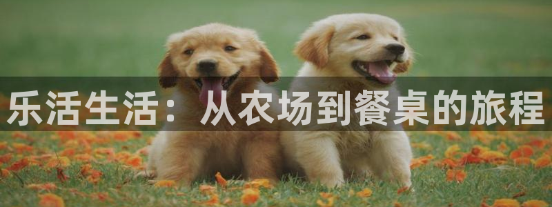 pg电子麻将胡了满屏胡