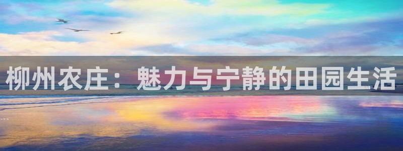 pg电子游戏交流群