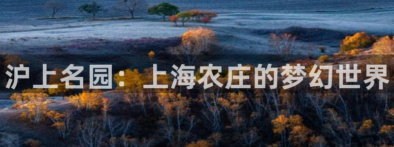 pg电子出分时间