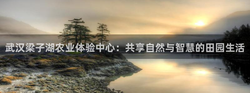 pg电子三只猴子怎么玩