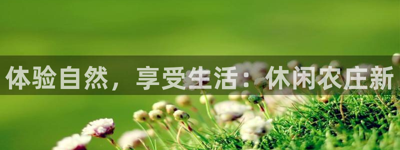 pg电子阿拉丁神灯攻略