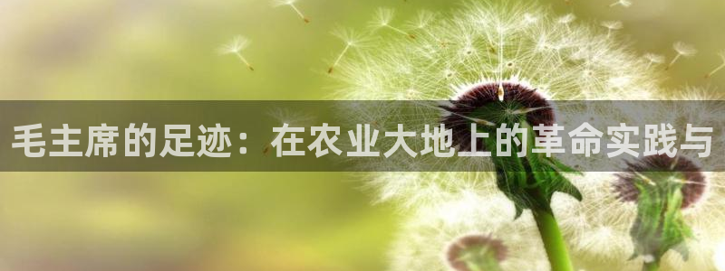 pg电子赏金女王攻略