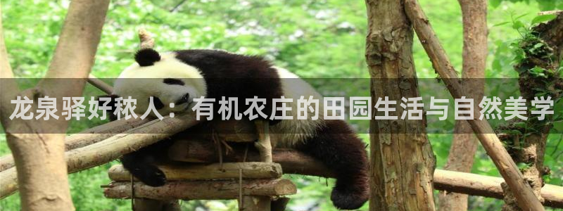 pg电子美猴王传奇爆奖