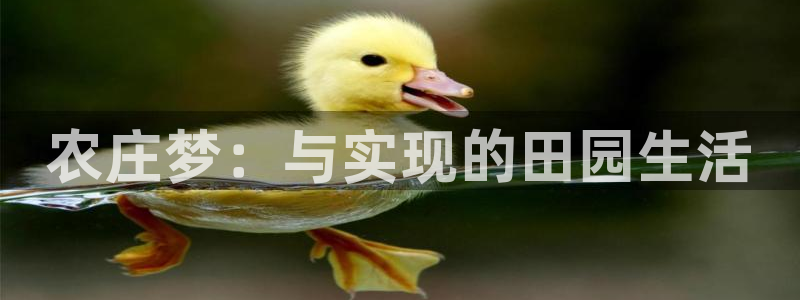 pg电子嘉年华暴分视频