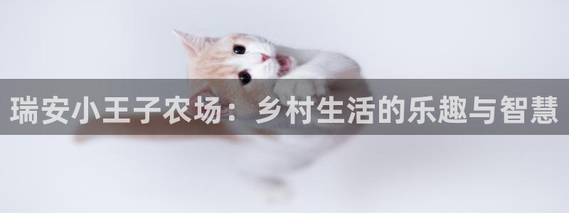 pg电子游戏寻宝黄金城