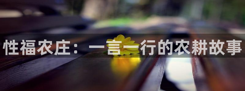 双喜临门pg电子