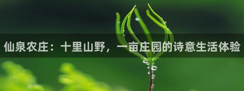 pg电子游戏到底公正吗