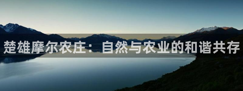 试玩pg电子游戏网址