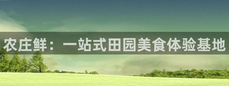 pg电子官方地址