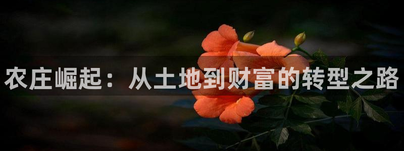 澳门PG电子网址