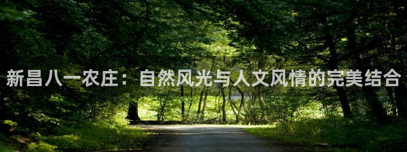 pg电子注单未返回