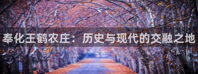 PG电子麻将胡了不爆分