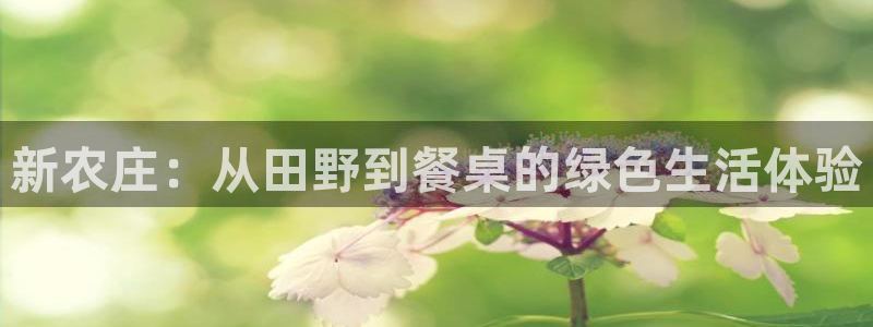 pg电子模拟器试玩在线