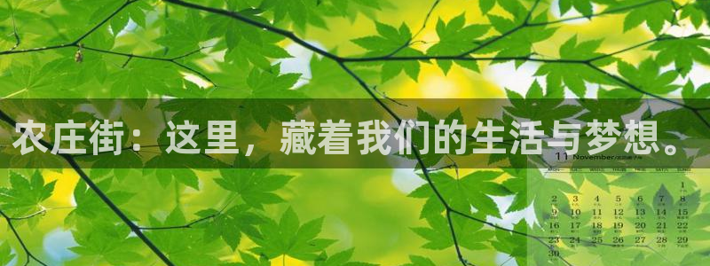 pg电子从哪里下载