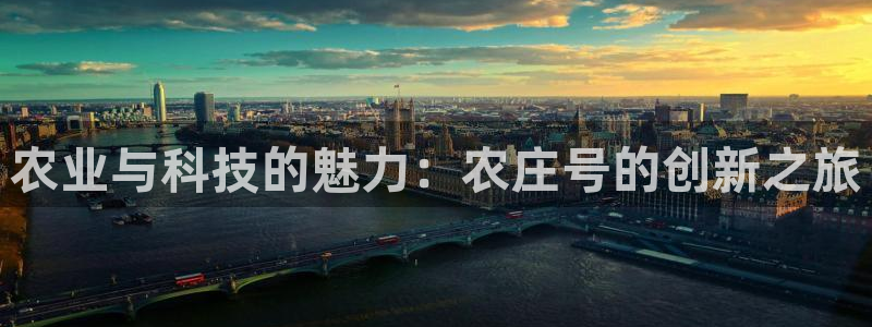 十年安全老品牌pg电子