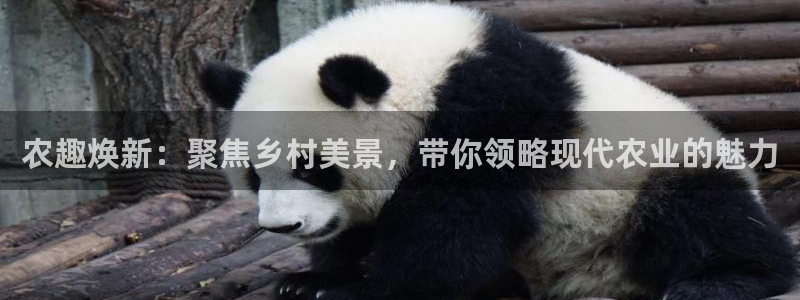 pg电子游戏官网源码