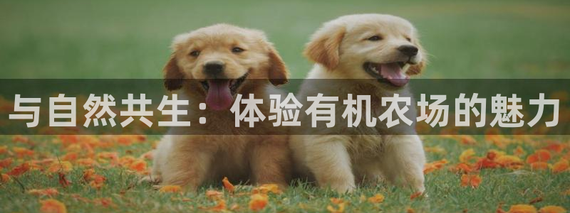 pg电子哪个更容易出奖