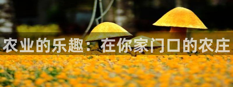 pg电子维护完杀分吗